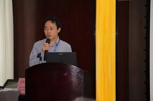 33.webp.jpg 33.webp.jpg